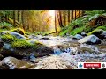 3 Hours Relaxing River Sounds 🌿 Flowing Water in Wild Nature for Deep Sleep &amp; Stress Relief