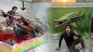 Muj Par Pond Ki deadly Fish Na Attack kar Diya