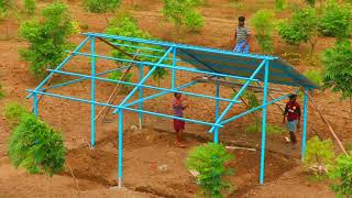 Real Quick Building of Shed with SheetMetal for Roof | Making Shed for Cow, Cattle & Goats in 3 days