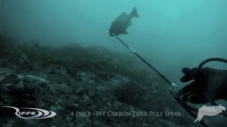 Spearfishing – Pole Spear Diaries