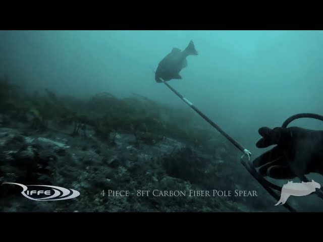 Spearfishing – Pole Spear Diaries