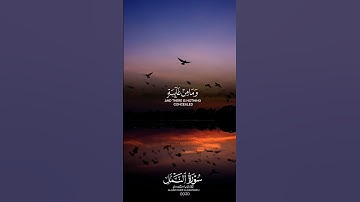 تلاوة خاشعة لأيات من سورة النمل للقارئ الشيخ ياسر الدوسري 🎧❤️🎧