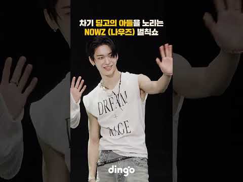 차기 딩고의 아들을 노립니다ㅣNOWZ (나우즈) - Achilles