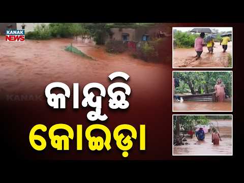 ଲଗାଣ ବର୍ଷା ତା’ପରେ ବନ୍ୟା | Flood Crisis in Koida | Entire Settlement Submerged After Heavy Rainfall