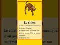 le chien #chien #enfants #français