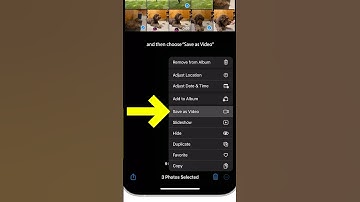 Turn Live Photos Into Videos!