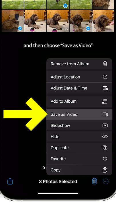 Turn Live Photos Into Videos!