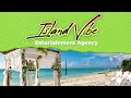 Island vibe entertainment agency introduction