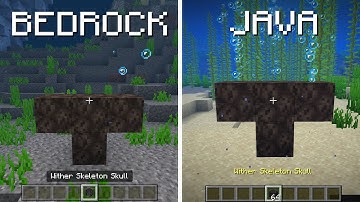 Java vs Bedrock