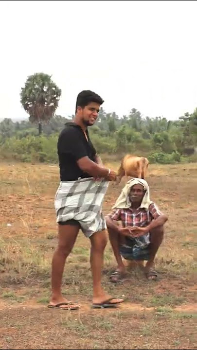 AYYAYO EN USURUKULLA SONG | PARUTHIVEERAN | #vimalvssureka #surekarajendran #couplechannel