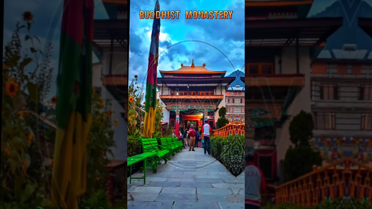 top 10 tourist places to visit in manali / best places in manali #shorts #viral #manali #travel top 10 tourist places to visit in manali / best places in manali #shorts #viral #manali #travel