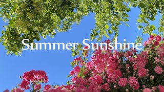 [Piano] Хорошая фортепианная пьеса, которую можно слушать, наслаждаясь теплым летним солнцем.