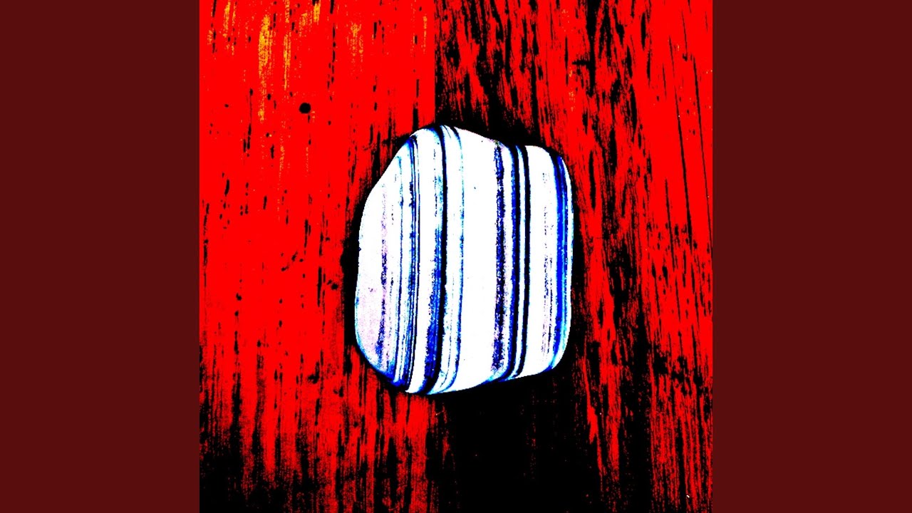 在 YouTube 上观看 The Future of Barnacles