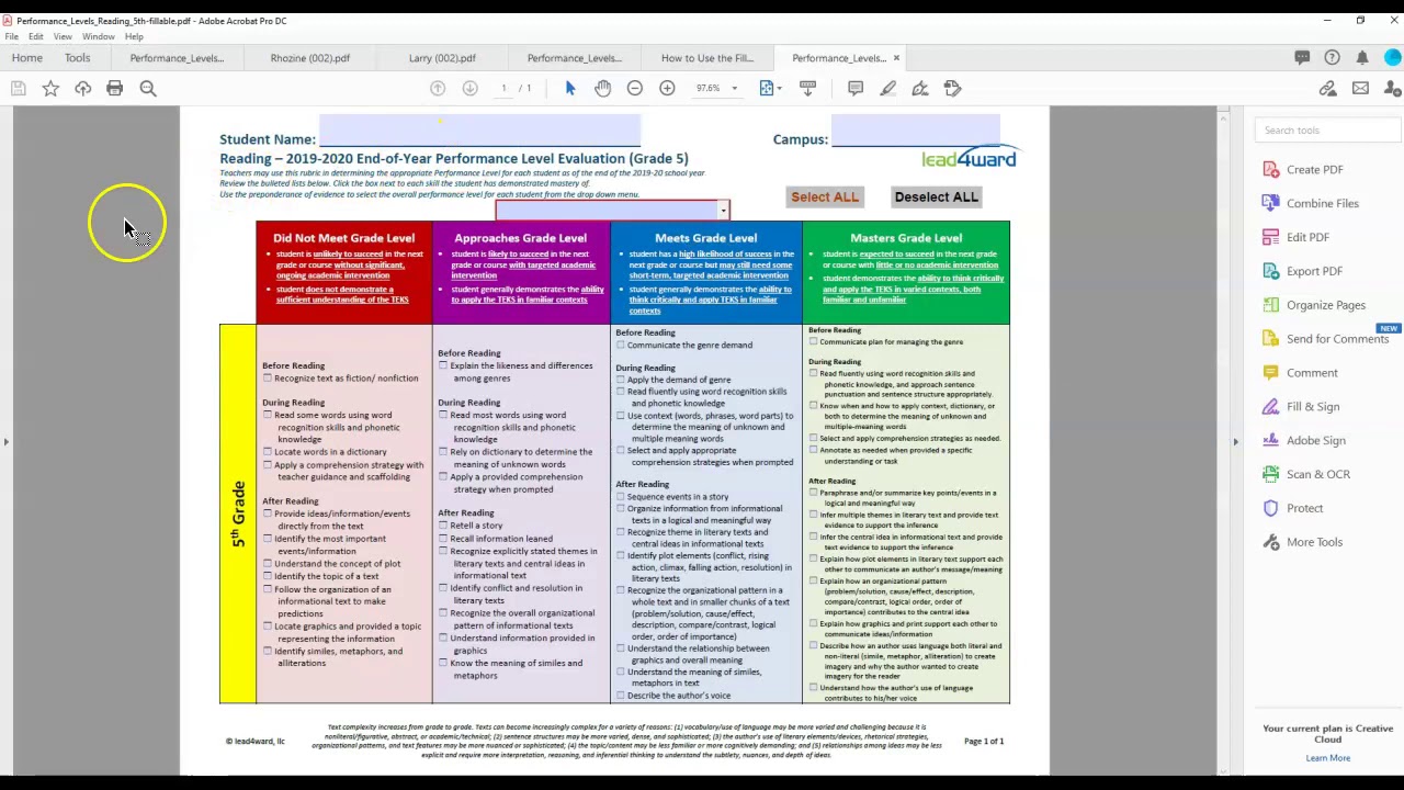 How to Use the Filleable pdf for the End of Year Performance