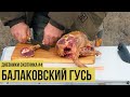 Балаковский гусь / Дневники охотника #4 // #17