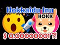 $ HOKKAIDO INU | 1000X PENNY CRYPTOCURRENCY の動画、YouTube動画。