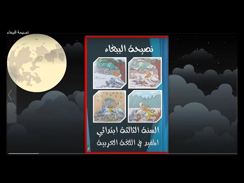 نصيحة الببغاء