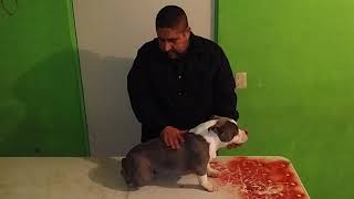 552-111-5373 ERICK UNBK