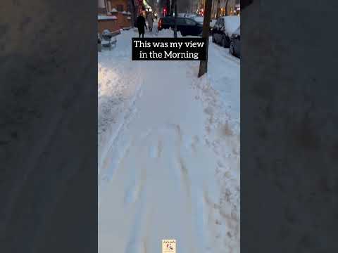 Helsinki Winter Mornings Snowfall In Helsinki Finland Finland 