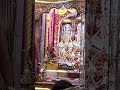 Shri kamatanath darshan Chitrakoot Dham #krishnavlogs25k #trendingshorts #vairalshort #jaishriram