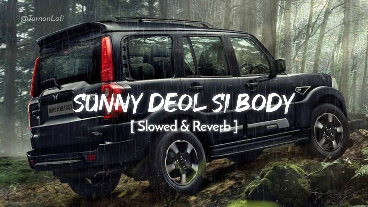 Sunny Deol Si Body Re  Slowed  Reverb  Raju Punjabi  Choudhar Jaat Ki Latest Haryanvi Song