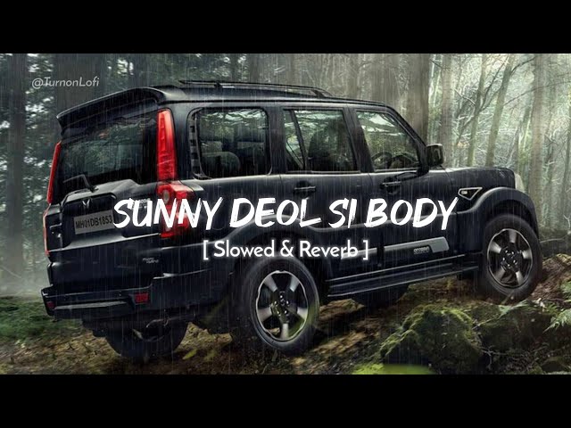Sunny Deol Si Body Re ( Slowed & Reverb ) Raju Punjabi | Choudhar Jaat Ki Latest Haryanvi Song class=