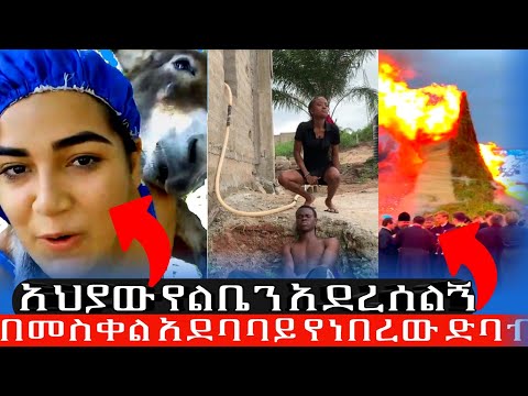 መስቀል በአል አከባበር እንካን አደረሰን አህያው አረካኝ Mesqel Beal Dameraw Snesrat Enkan Aderesachu Ahyaw Arekagn Shuge