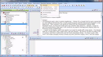 [2012] MAXQDA 10 and MAXQDA 11: Visual Tools - Bahasa Indonesia