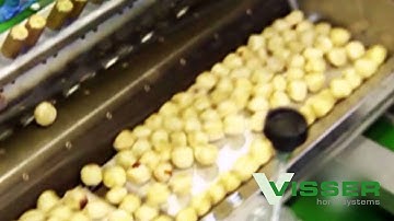 Visser Horti Systems - Speed Rouline Nut Seeder