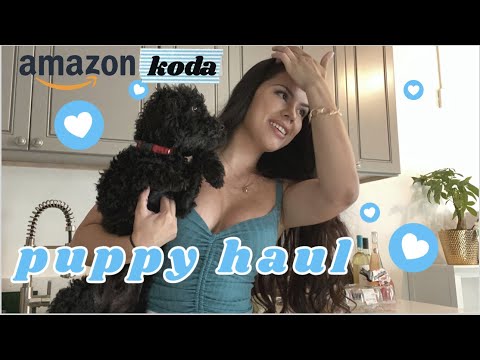 NEW PUPPY/DOG HAUL | AMAZON PUPPY HAUL | MINI POODLE