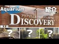 [Aquarium]アクアリウム&パルダリウム専門店　Discovery　３種類の熱帯魚購入！