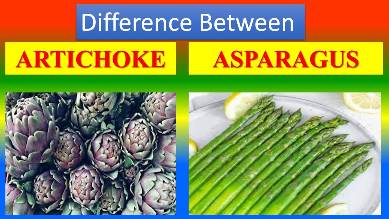 Distinction Between Medical And Health Benefits Of Artichoke and