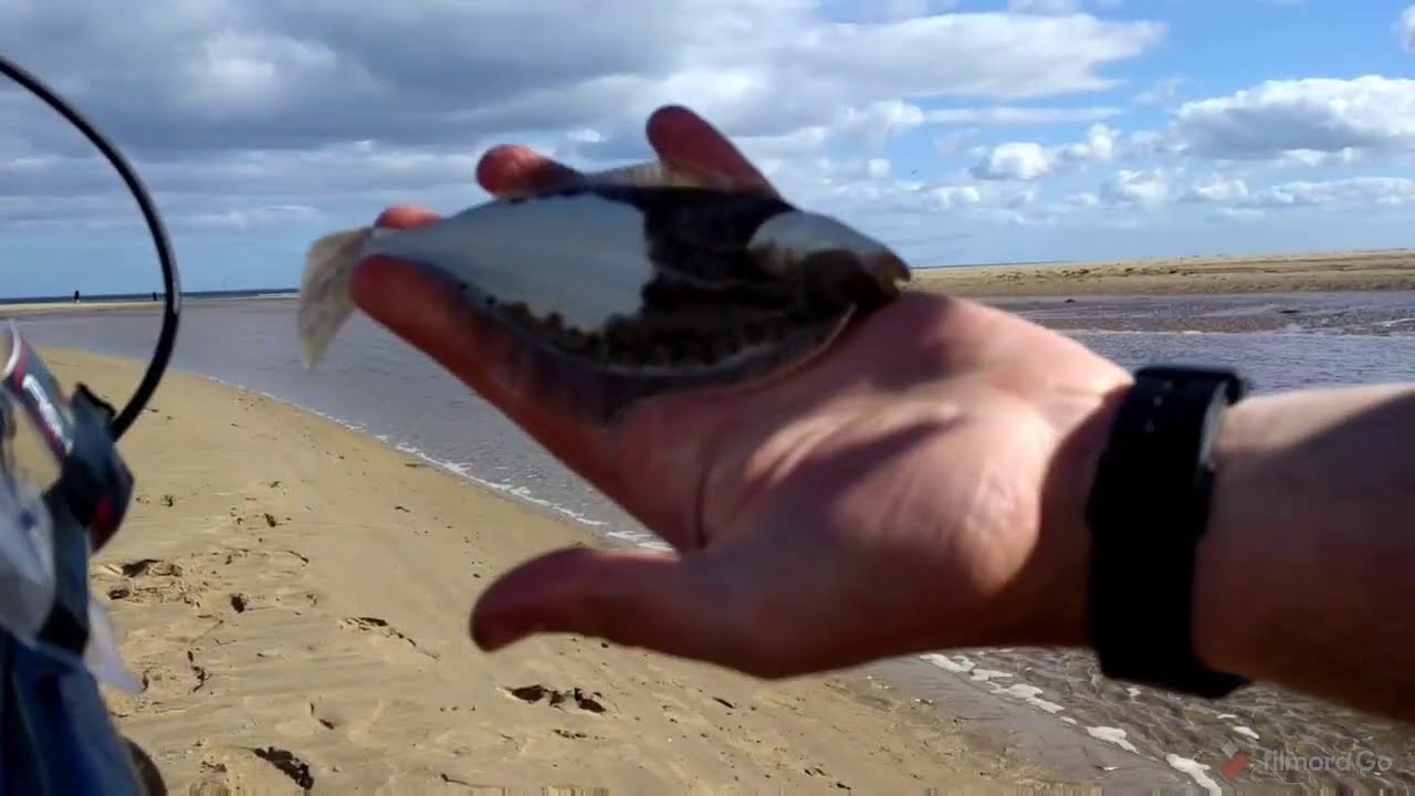 Flounder fishing with a vintage Daiwa 730 reel and reel maintenance 