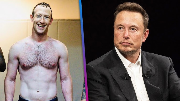 Mark Zuckerberg agrees to Elon Musk cage match challenge - The Verge