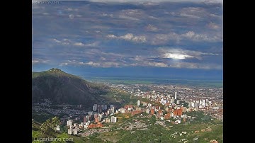 MI VALLE DEL CAUCA  -  GRUPO NICHE