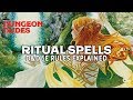 Ritual Spells Guide for Dungeons and Dragons 5e