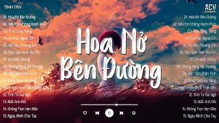 Mây Lấp Đi Cả Vùng Trời Chói Nắng...Hoa Nở Bên Đường, Bán Tấm Chân Tình | Nhạc Trẻ Nhẹ Nhàng 2024