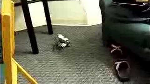 Voice Controlled NXT Robot