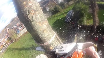 Rigging sections of trunk onto itself Gopro