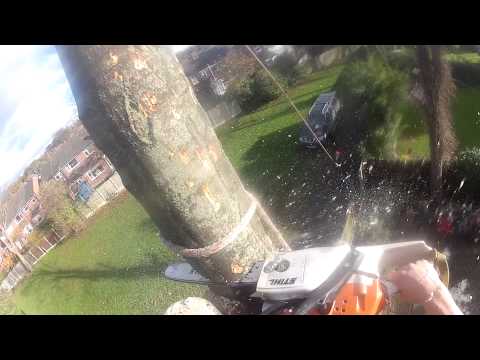 Rigging sections of trunk onto itself Gopro