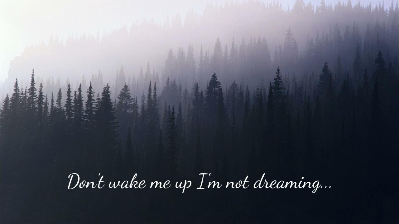 don't wake me up not dreaming 1 hour sapientdream YouTube
