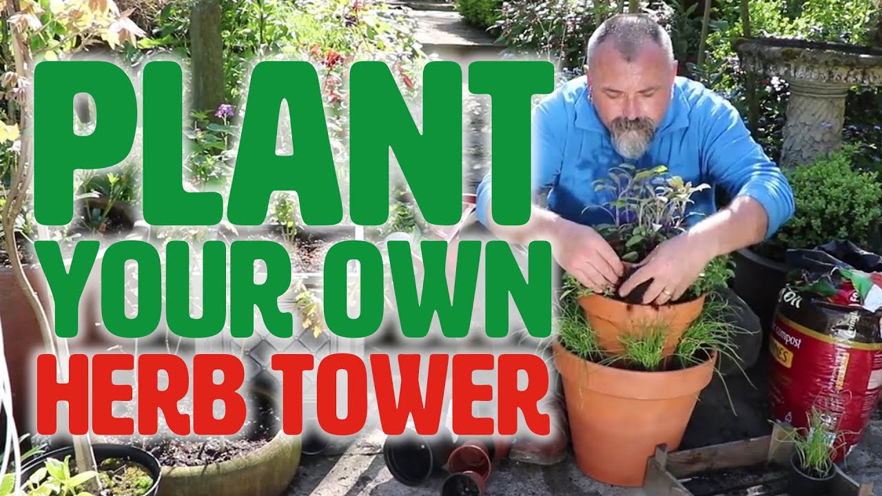 Planting Your Own Herb Tower You Planting Your Own Herb Tower You