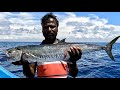 Catching King Fish, Barracuda Fish &amp; Grouper Fish in the Sea