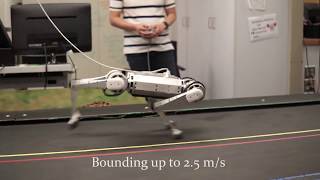 Highly Dynamic Quadruped Locomotion via Whole-Body Impulse Control and Model Predictive Control