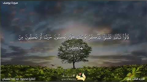 من سورة يوسف 83-87 بصوت الشيخ محمود المبيض