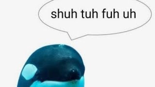 Random Anime Edits From My Fyp - ୨୧