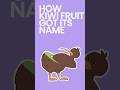 How Kiwi Fruit Got Its Name #shorts