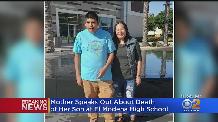 'He Was Always Smiling': Mother Speaks Out About S...