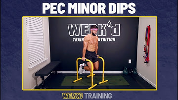 Pec Minor Dip (Straight Arm Dip) | WERKD Training
