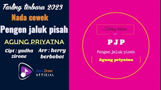 TARLING KAROUKE TERBARU - PENGEN JALUK PISAH - AGUNG PRIYATNA - NADA CEWEK...